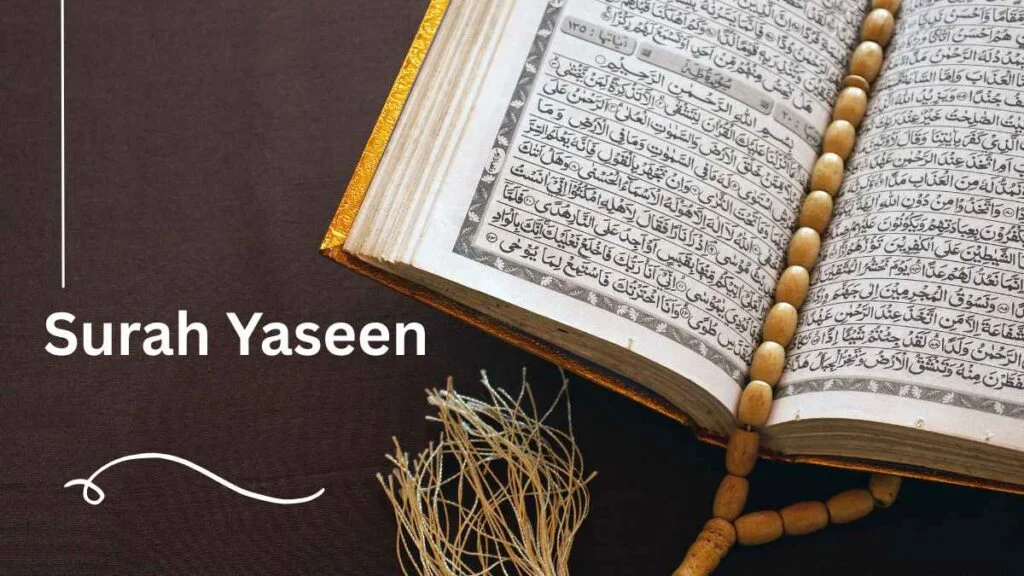 Quran Pdf 2025,Free online quran pdf download