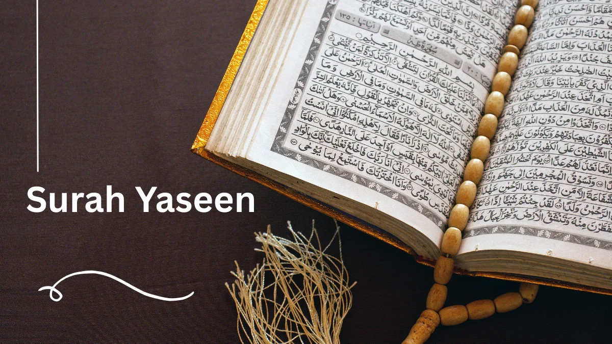 Quran pdf